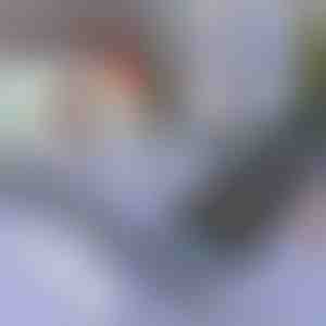 Päikesevari autole ja aknale | SUNGUARD