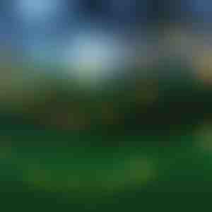 Päevavalgusest toidetavad tuled | SOLSTICE