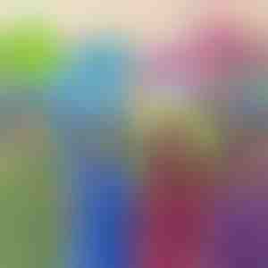 Mänguasi, padi ja pusa | PILLOWPET