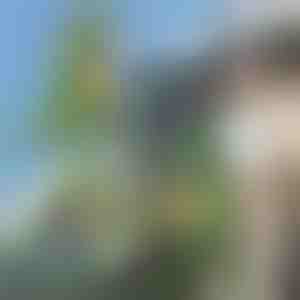 3D dinosaurusekujuline seljakott | DINOBACK