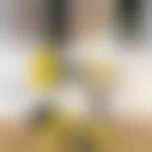 Võimas puuri puhastusharjade komplekt (3 osa) | DRILLBRUSH