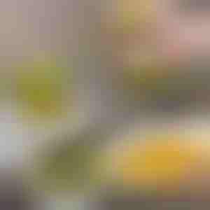 Puhastushari koos dosaatori ja alusega | BRUSKICA