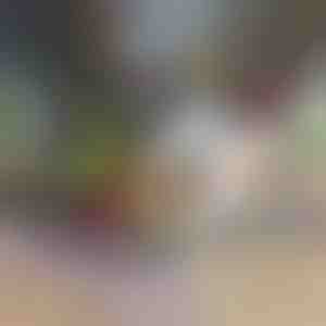 12 in 1 köögiviljakombain ja viilutaja | CHOPMASTER