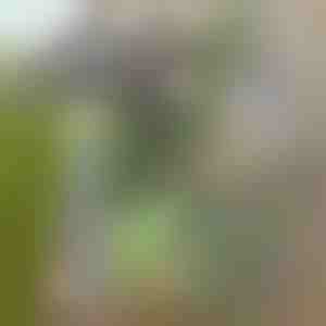 Kergesti umbrohu eemaldamiseks mõeldud aiakõblas | GRASSOE