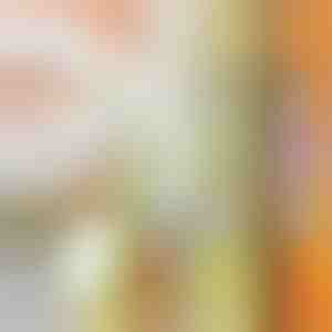 Mitmeotstarbeline hakklihamasin | SLICEWISE