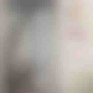 Magnetiline sääsevõrk | INSECTPROTECT