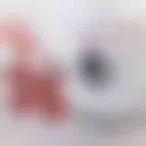 Mööbli teisaldamise komplekt 4 liuguri ja tõstukiga | LIFTROLLERS