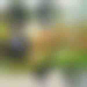 Aiatööriist 4 in 1 | VERSAX