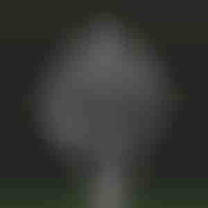 Aia maagiline kineetiline tuuleveski | WINDARA