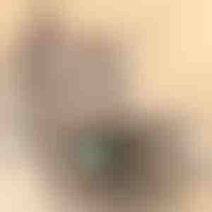 Kassi mänguasi | PREYPLAY