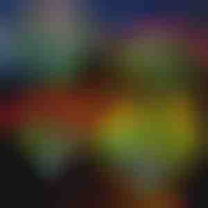 Päikese lillede tuled | ROSILUME