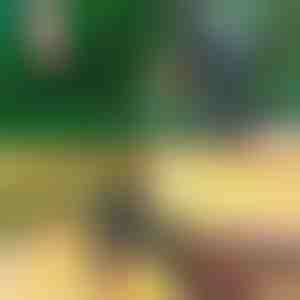 Professionaalsed 2-ühes pookimis- ja pügamis käärid | MASTERCUT