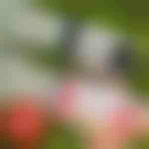 69-auguga LED mullipüstol | BUBBLEPUFF 1+1 TASUTA