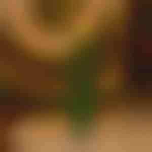 Ohutu leegiga vilkuv pühadeküünal | CANDLETREE