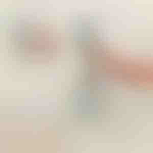 Ohutuskäepide duši ja vanni jaoks | HANDORKA