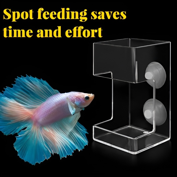 FINTROL-3831127617336-EN-2__170925