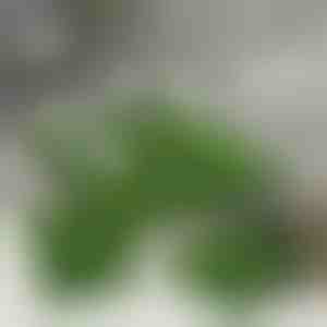 Kunstmuruplaadid dekoratsiooniks (5 tk) | GRASSTILE