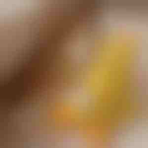 Rahustav prääksuva heliga plüüsist koeramänguasi - vähendab eraldusärevust | CALMQUA